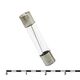 FUSE 0.5� 250V 6x30